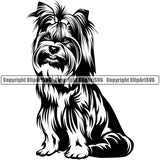 Yorkie Dog Sitting Design Element Puppy Pup K9 Animal Portrait Doggy Smile Face Cute Body Purebred Pedigree Canine K-9 Vector Clipart SVG