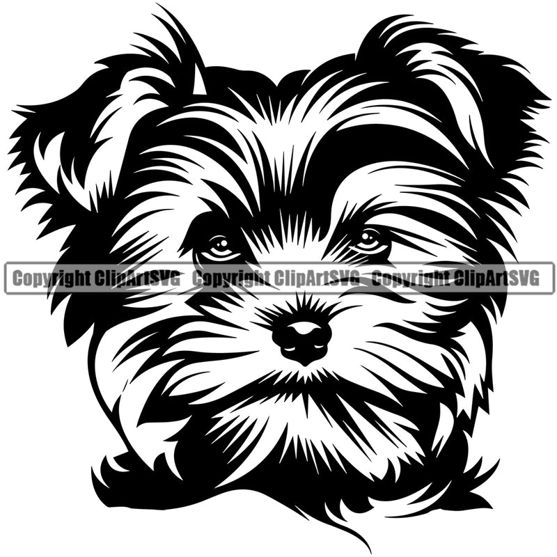 Yorkie Dog Head Design Element Puppy Canine K-9 K9 Animal Portrait Doggy Smile Face Cute Body Pup Head Purebred Pedigree Vector Clipart SVG
