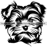 Yorkie Dog Head Design Element Puppy Canine K-9 K9 Animal Portrait Doggy Smile Face Cute Body Pup Head Purebred Pedigree Vector Clipart SVG