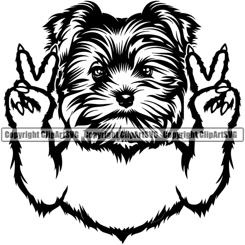 Yorkie Dog Peace Hand Sign Design Element Puppy Pup Head Purebred Pedigree Canine K-9 K9 Animal Portrait Doggy Smile Face Cute Body Vector Clipart SVG