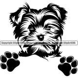Yorkie Dog Peeking Design Element Puppy K-9 K9 Animal Portrait Doggy Smile Face Cute Body Pup Head Purebred Pedigree Canine Vector Clipart SVG