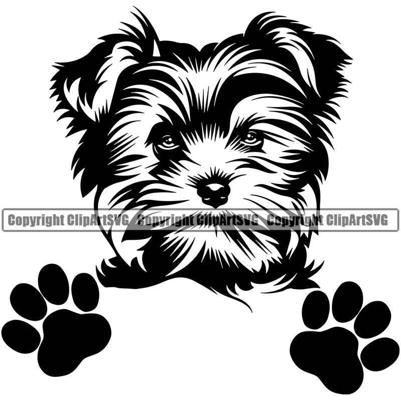 Yorkie Dog Peeking Design Element Pedigree Canine K-9 K9 Animal Portrait Doggy Smile Face Cute Body Puppy Pup Head Purebred Vector Clipart SVG