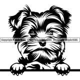 Yorkie Dog Peeking Design Element Purebred Pedigree Canine Puppy Pup Head  K-9 K9 Animal Portrait Doggy Smile Face Cute Body Vector Clipart SVG