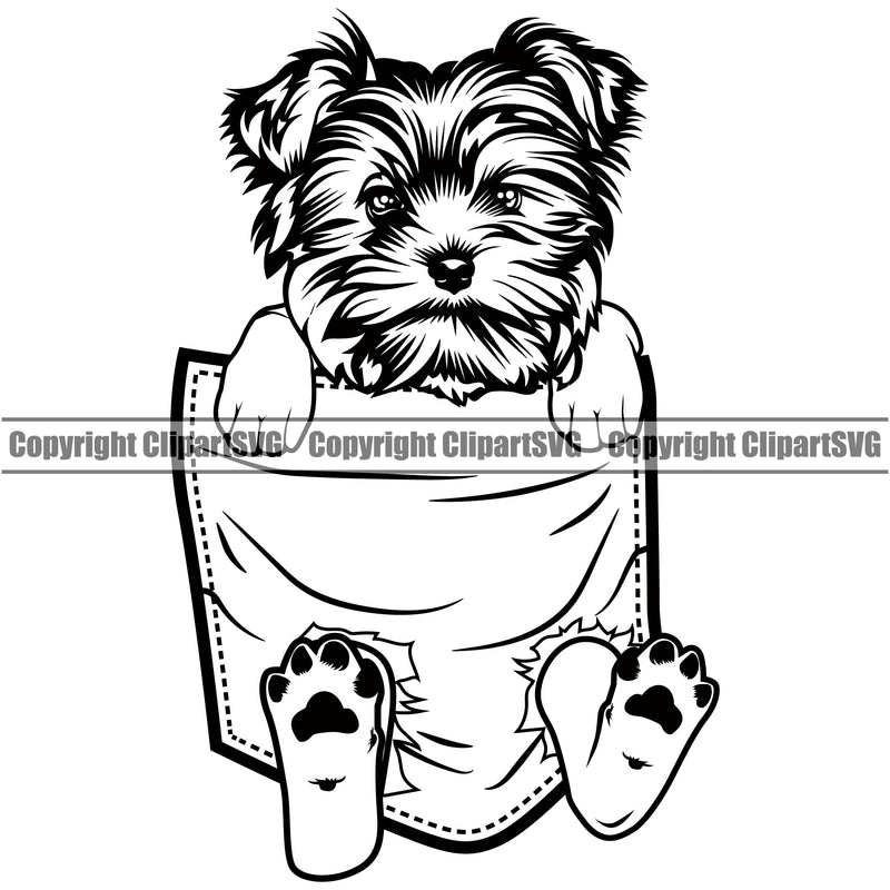 Yorkie Dog Hanging From Shirt Pocket Design Element Tshirt Puppy Pup Head Purebred Pedigree Canine K-9 K9 Animal T-Shirt Portrait Doggy Smile Face Cute Body Vector Clipart SVG