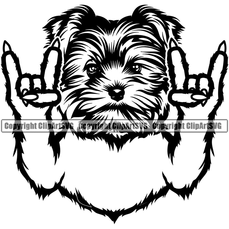 Yorkie Dog Rock And Roll Hand Sign Design Element Puppy Pup Head Purebred Pedigree Canine K-9 K9 Animal Portrait Doggy Smile Face Cute Body Vector Clipart SVG