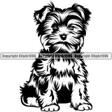 Yorkie Dog Sitting Design Element Canine K-9 K9 Animal Portrait Doggy Smile Face Cute Puppy Pup Head Purebred Pedigree Body Vector Clipart SVG