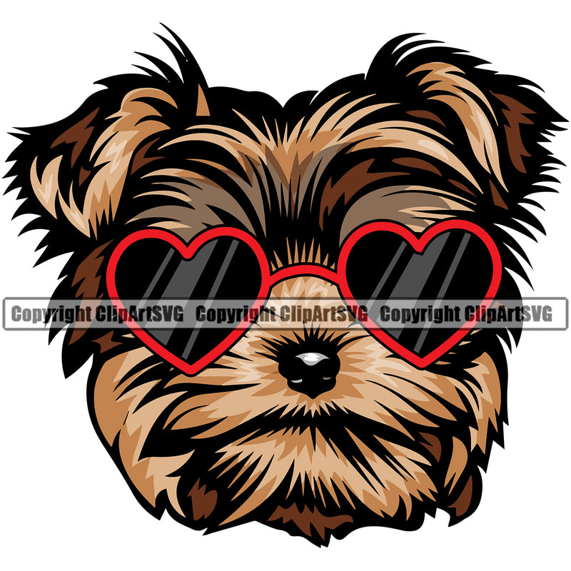 Yorkie Dog Wearing Sunglasses With Sun Heart Color Design Element Puppy Pup Head Purebred Pedigree Canine K-9 K9 Animal Portrait Doggy Smile Face Cute Body Vector Clipart SVG