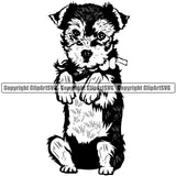 Yorkie Dog Begging Position Design Element Canine K-9 K9 Animal Portrait Doggy Smile Face Cute Body Puppy Head Purebred Pedigree  Vector Clipart SVG