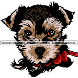 Yorkie Dog Color Head With Collar Design Element Puppy Purebred Pedigree Canine K-9 K9 Animal Portrait Doggy Smile Face Cute Body Vector Clipart SVG
