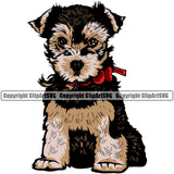 Yorkie Dog Sitting Position Design Element Color Head Puppy Pup Smile Face Cute Body Purebred Pedigree Canine K-9 K9 Animal Portrait Doggy Vector Clipart SVG