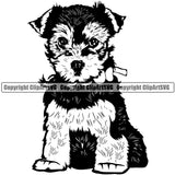 Yorkie Dog Sitting Design Element Puppy Pup K9 Animal Portrait Doggy Smile Head Purebred Pedigree Canine Face Cute Body Vector Clipart SVG