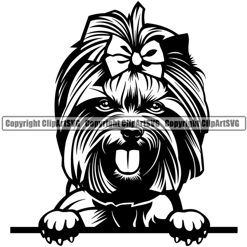 Yorkie Dog Peeking Design Element Puppy Portrait Doggy Smile Face Cute Body Pup Head Purebred Pedigree Canine K-9 K9 Animal Vector Clipart SVG