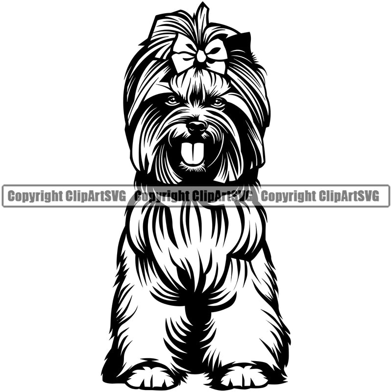 Yorkie Dog Sitting Design Element Puppy Pup Head Purebred Pedigree Canine K-9 K9 Animal Portrait Doggy Smile Face Cute Body Vector Clipart SVG
