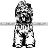 Yorkie Dog Sitting Design Element Puppy Pup Head Purebred Pedigree Canine K-9 K9 Animal Portrait Doggy Smile Face Cute Body Vector Clipart SVG