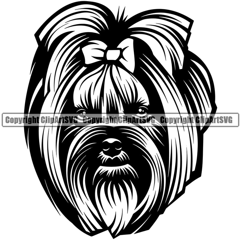 Yorkie Dog Head Long Hair Design Element Pedigree Canine K-9 K9 Animal Portrait Doggy Puppy Pup Purebred Smile Face Cute Body Vector Clipart SVG