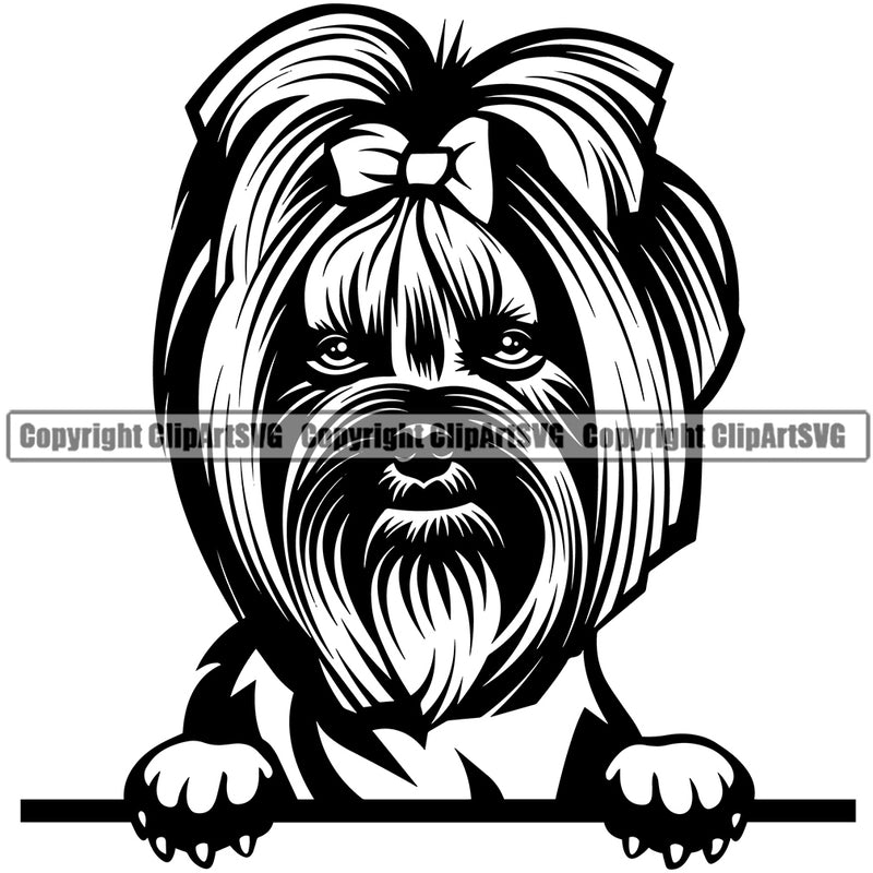 Yorkie Dog Peeking Design Element Puppy Long Hair Head Purebred Pedigree Canine K-9 K9 Animal Portrait Doggy Smile Face Cute Body Vector Clipart SVG
