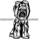 Yorkie Dog Sitting Design Element Puppy Pup K-9 K9 Animal Portrait Doggy Smile Face Cute Head Purebred Pedigree Canine Body Vector Clipart SVG