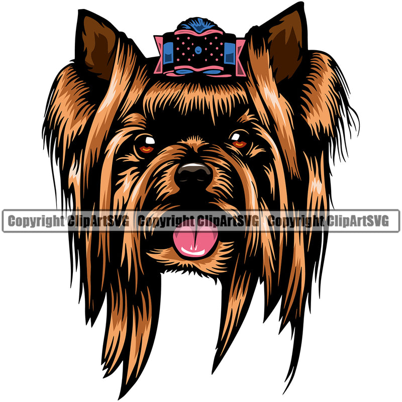 Yorkie Dog Brown Color Head Design Element Puppy Pup Head Purebred Pedigree Canine K-9 K9 Animal Portrait Doggy Smile Face Cute Body Vector Clipart SVG