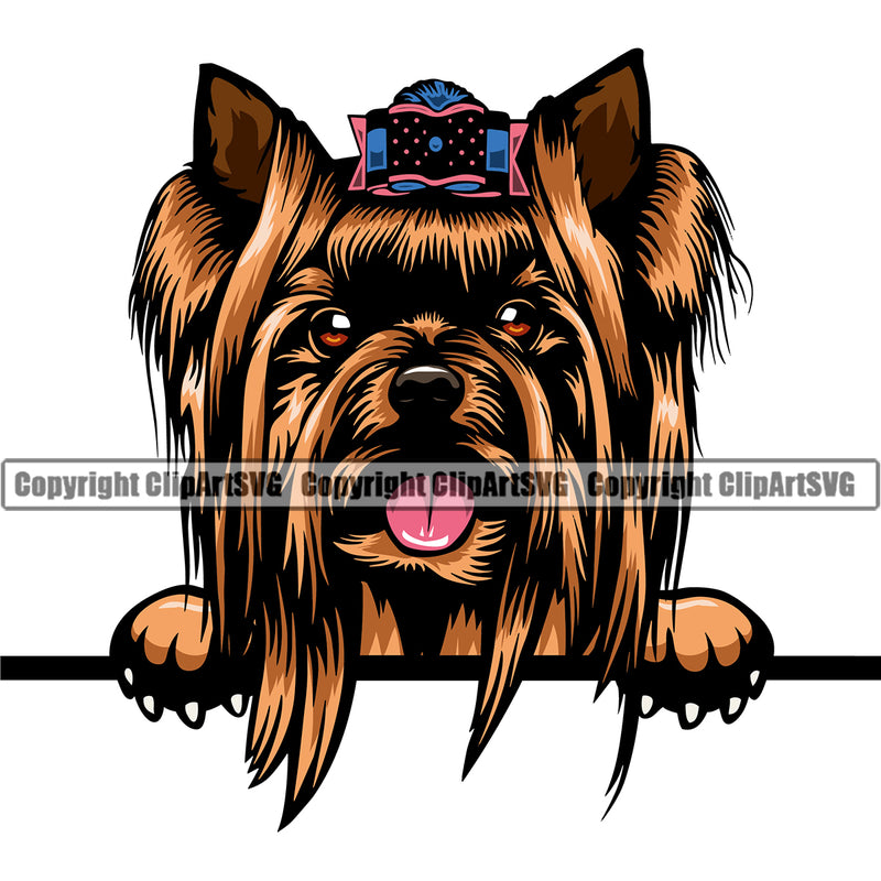 Yorkie Peeking Dog Brown Color Head Design Element Puppy Pup Purebred Pedigree Canine K-9 K9 Animal Portrait Doggy Smile Face Cute Body Vector Clipart SVG