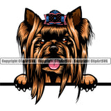 Yorkie Peeking Dog Brown Color Head Design Element Puppy Pup Purebred Pedigree Canine K-9 K9 Animal Portrait Doggy Smile Face Cute Body Vector Clipart SVG