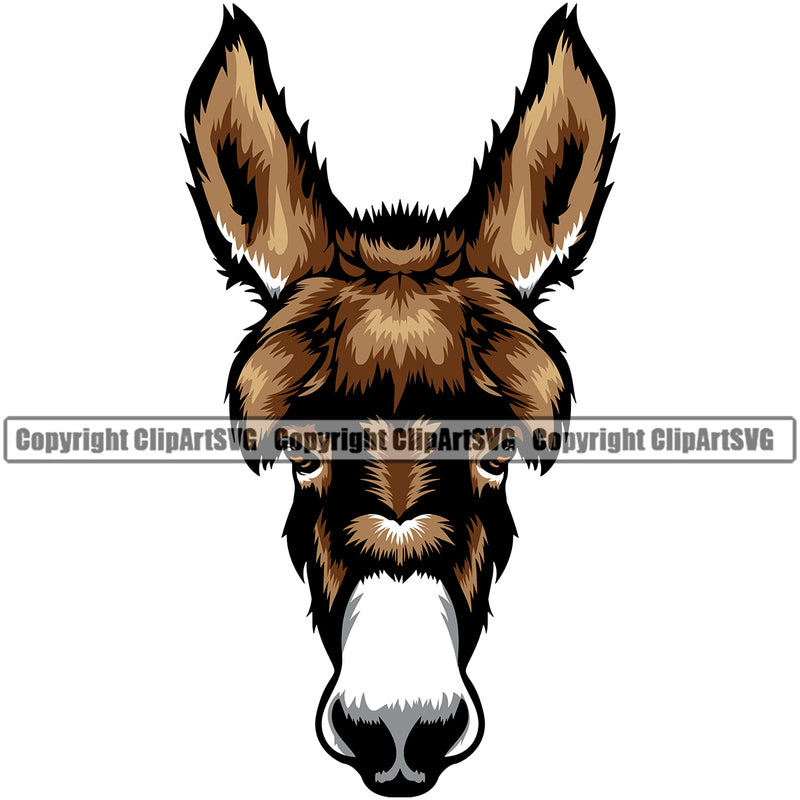 Donkey Donkeys Head Farm Domestic Animal Pet Face Mascot Cartoon Burro Mule Horse Livestock Color Symbol Clipart SVG