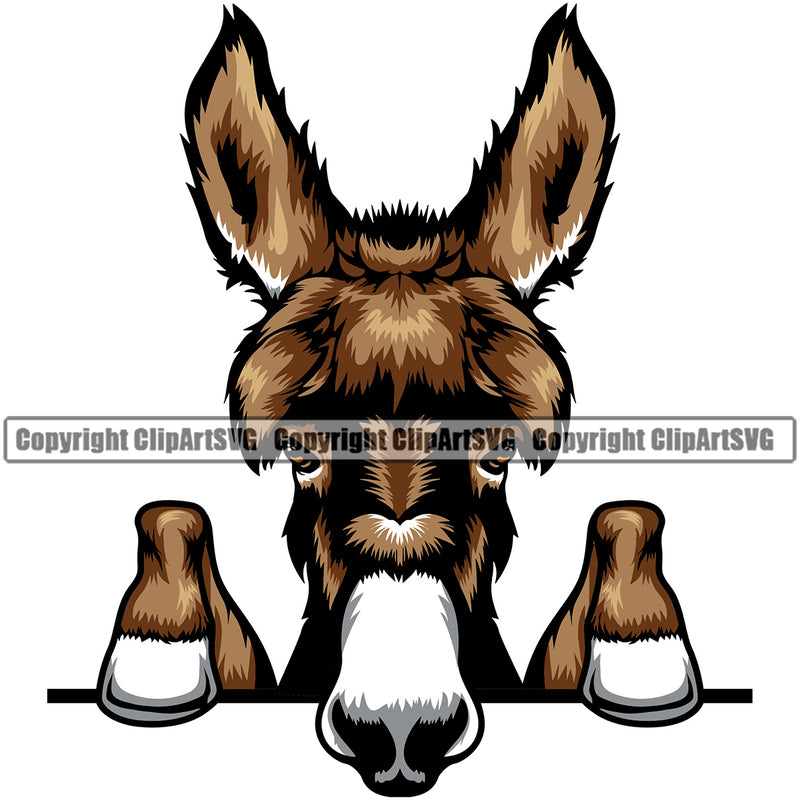 Donkey Donkeys Head Farm Domestic Animal Pet Face Peeking Mascot Cartoon Burro Mule Horse Livestock Color Symbol Clipart SVG