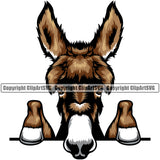 Donkey Donkeys Head Farm Domestic Animal Pet Face Peeking Mascot Cartoon Burro Mule Horse Livestock Color Symbol Clipart SVG