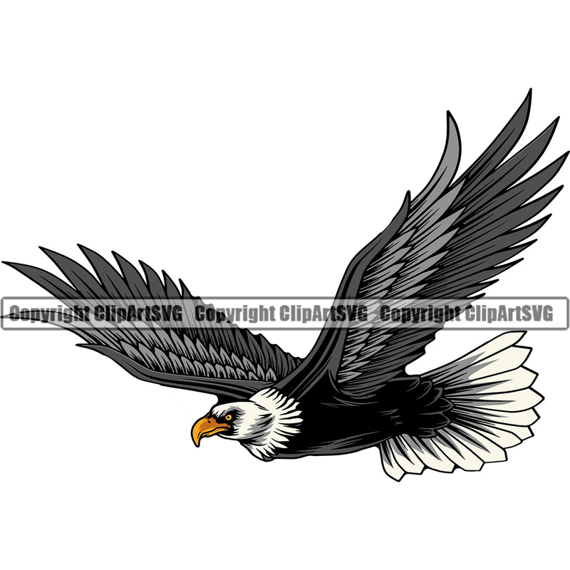 American Eagle Bird Freedom Flying Illustrate Logo ClipArt SVG