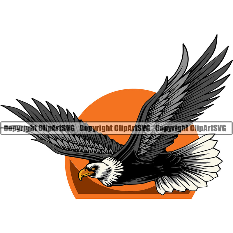 American Eagle Bird Bald Flying Eagle Symbol Illustrate Logo Image ClipArt SVG