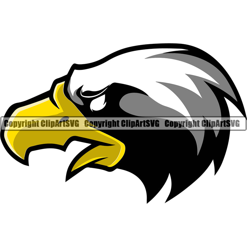 American Eagle Bird Big Beak Unique Yellow And White Color Head Sports Team Mascot Graphics ClipArt SVG