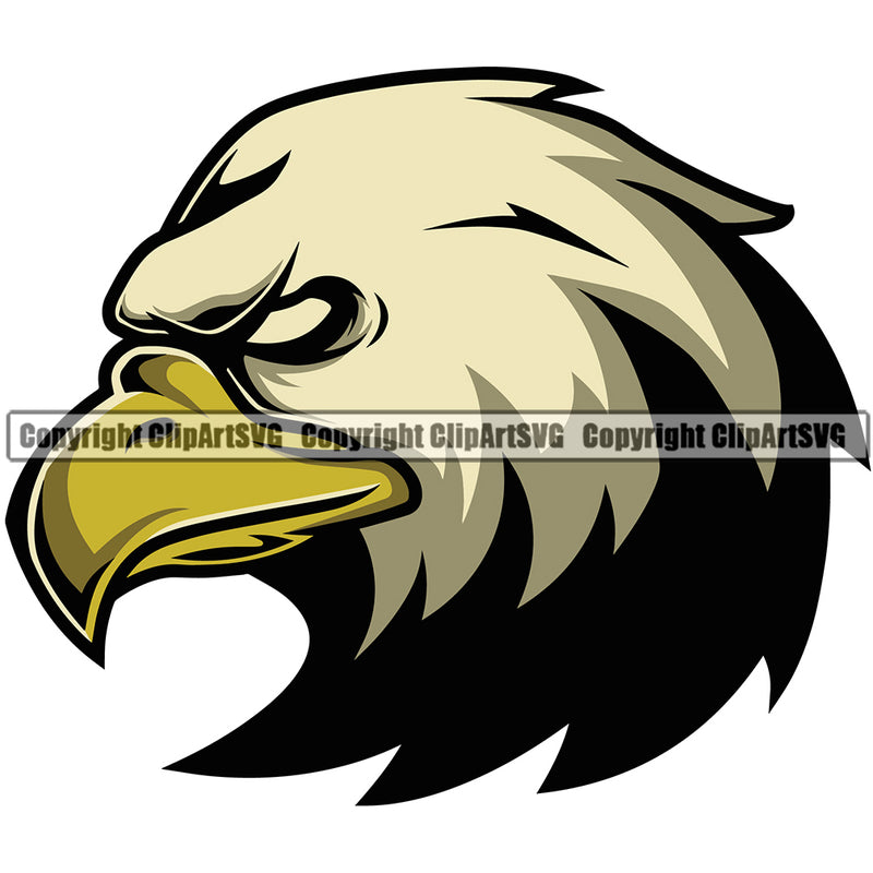 American Eagle Bird Color Angry Head Sports Team Illustrate Mascot Logo Premium Quality Graphics ClipArt SVG