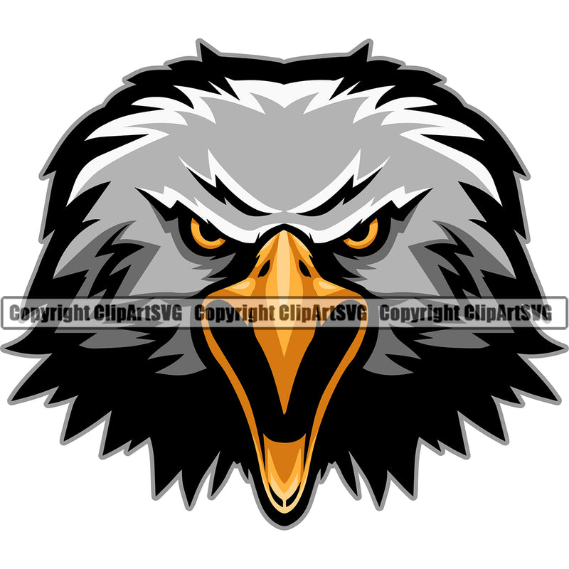 American Eagle Bird Angry Animal Colorful Head Logo Vector ClipArt SVG
