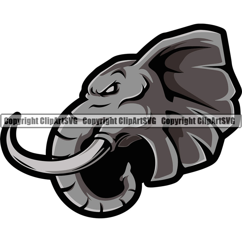Premium Gray Color Zoo Elephant Head With Trunk Sports Team Mascot Logo Vector Design ClipArt SVG