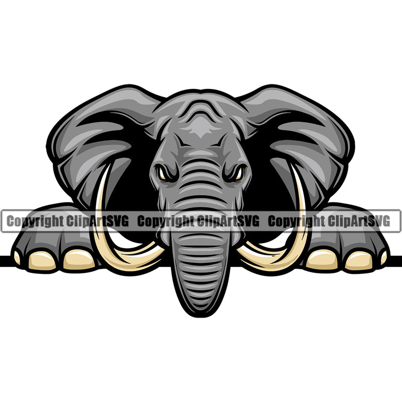 Animal Elephants Colorful Vector Elephant Peeking Peek-A-Boo Wild Art Sports Team Mascot Game Fantasy eSport Emblem Logo Symbol Clipart SVG