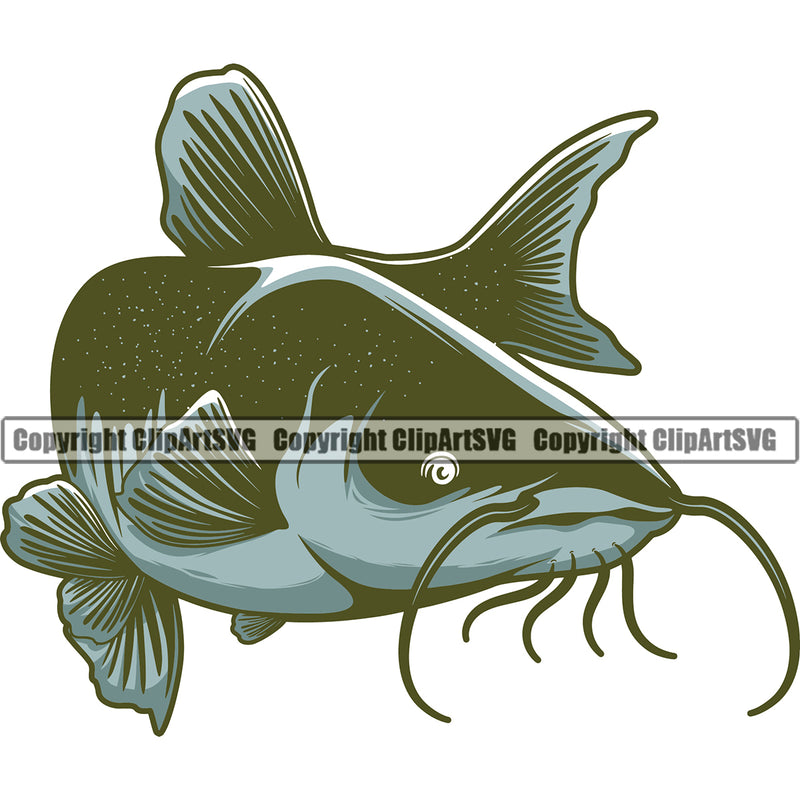 Catfish Fish Catfish Fishs Fishing Angling Freshwater Lake River Pond Animal Wildlife Life Food Seafood Color Symbol Clipart SVG