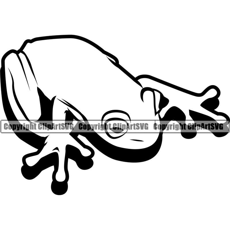 Frog Frogs Pet Animal Nature Wild Wildlife Amphibian Tropical Toad Exotic Tree Jungle Poison Design Element Logo Black Silhouette Symbol Clipart SVG