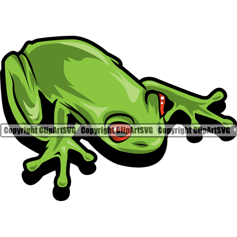 Frog Frogs Pet Animal Nature Wild Wildlife Amphibian Tropical Toad Exotic Tree Jungle Poison Design Element Green Symbol Clipart SVG