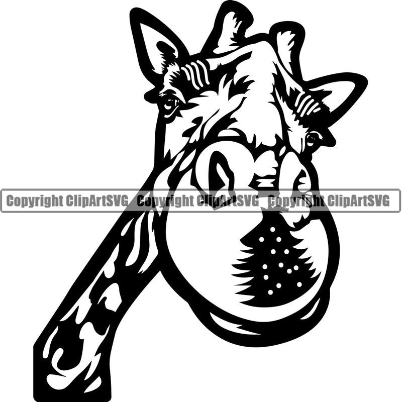 Giraffe Giraffes Safari Africa Wildlife Nature African Long Neck Mammal Illustration Zoo Wild Animal Logo Back Symbol Clipart SVG