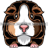 Guinea Guineas Pig Pet Rodent Design Cute Fluffy Cage Domestic Mammal Paws Whiskers Farm Hamster Front Color Symbol Clipart SVG