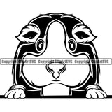 Guinea Guineas Pig Peeking Peek-A-Boo Pet Rodent Cute Fluffy Cage Paws Whisker Farm Hamster Color Design Logo Black Silhouette Symbol Clipart SVG