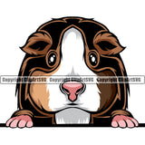 Guinea Guineas Pig Peeking Peek-A-Boo Pet Rodent Cute Fluffy Cage Paws Whisker Farm Hamster Color Design Logo Brown Symbol Clipart SVG