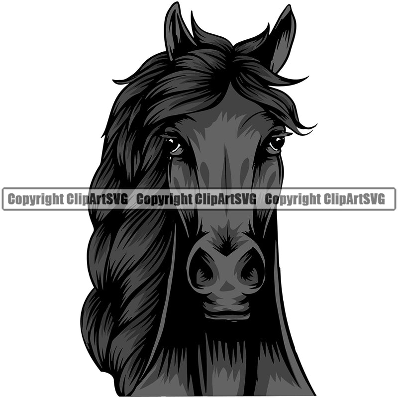 Horse Horses Stallion Equestrian Racing Racehorse Jockey Animal Thoroughbred Horseback Animal Badge Logo Symbol Tattoo Color Symbol Clipart SVG