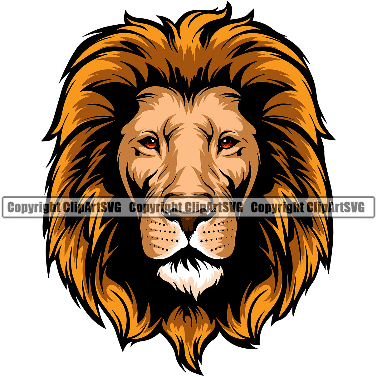Lion Lions Wild Big Cat Wildlife Predator Beast King Of The Jungle ...