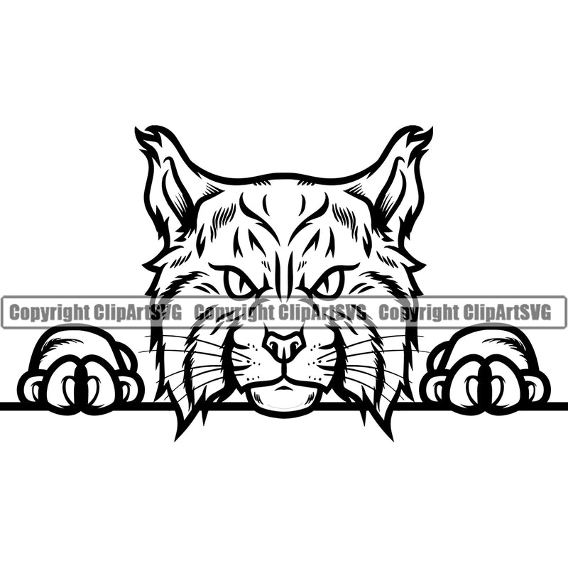 Lynx Lynxs Wild Big Cat Wildlife Predator Beast King Of The Jungle Nature Zoo Peeking Animal Badge Logo Symbol Tattoo Black Silhouette Symbol Clipart SVG