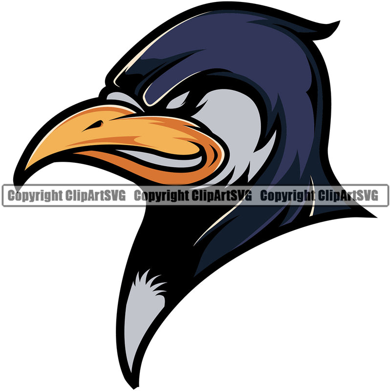 Penguin Penguins Bird Mascot Mascots School Team Head Face Sport eSport Fantasy Game Emblem Sign Animal Badge Logo Symbol Tattoo Color Head Symbol Clipart SVG