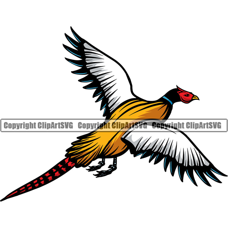 Pheasant Pheasants Hunting Bird Wildlife Flying Male Hunter Wild Feathers Hunt Wings Food Game Art Logo Color Symbol Clipart SVG