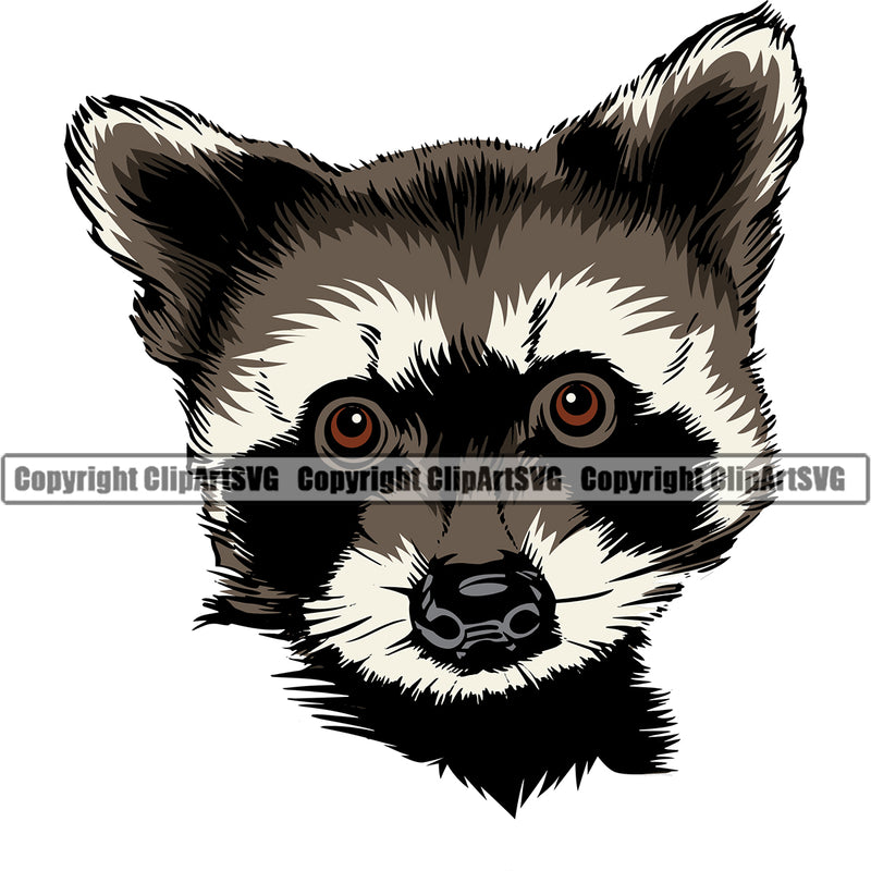 Raccoon Mascot School Team Face eSport Game Emblem Sign Badge Icon Label Animal Raccoons Text Design Color Full Logo Clipart SVG