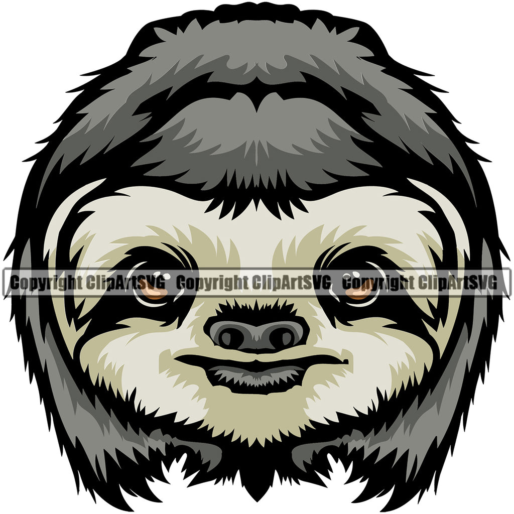 sloth face illustration