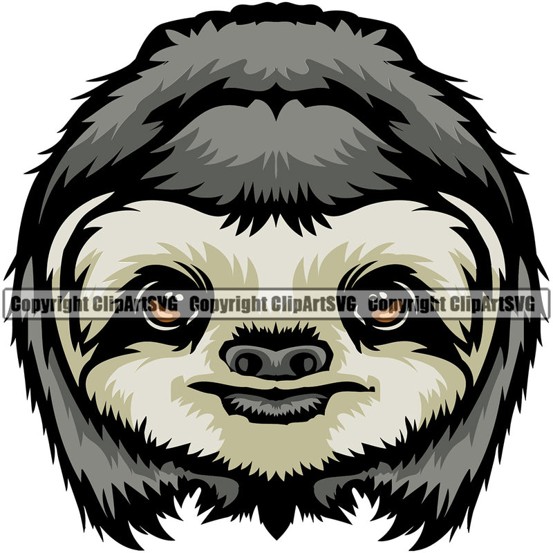 Sloth Sloths Head Face Two Three Toe Slow Moving Wild Animal Nature Wildlife Forrest Mammal Zoo Design Logo Color Symbol Clipart SVG
