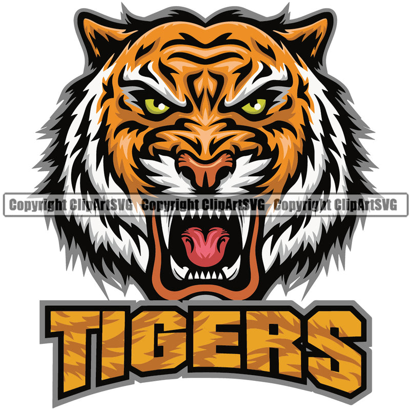Wildlife Graphic Symbol Tigers Head Face Art Icon Label Text Design Sports Team Mascot Game Fantasy eSport Emblem Logo Symbol Clipart SVG